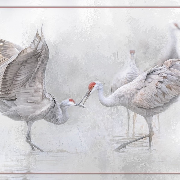 Sandhill Crane Mating Dance Fabric Panel - BSB-009, Panel Size is 24” X 15.5”, Quality Quilting Cotton