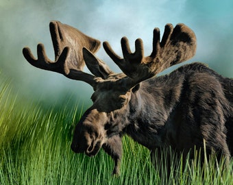 Bull Moose in Velvet Fabric Panel, Quilt Panel, Quilting Cotton Fabric, Bull Moose Fabric Panel to Quilt or Sew Size 22.5"Wx15.75"L, ANW-031