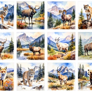 Puede incluir: Una colección de pinturas de acuarela con varios animales salvajes de América del Norte. Cada impresión cuadrada muestra un animal diferente, incluyendo un lobo, un alce, un carnero, un puma, un ciervo, un alce, una cabra, un bisonte, un zorro, un lince, un antílope y un oso, sobre un fondo de montañas y naturaleza.