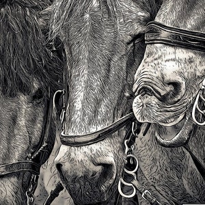 May include: Close-up of three horses' heads with black and white patterned bridles. The horses are in a line, and their heads are close together. The image is in a black and white style.