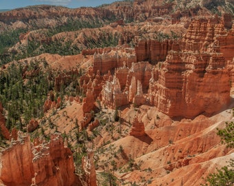 Pode incluir: Uma vista panorâmica de um cânion com formações rochosas vermelhas e árvores verdes. O cânion é esculpido na terra, criando uma paisagem dramática.
