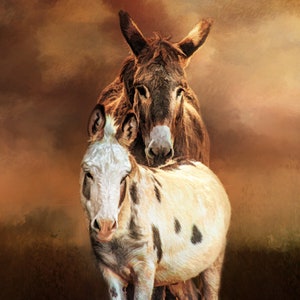 Donkey Buds Fabric Panel - AFF-004, Panel Size is 16” X 20”, Quality Quilting Cotton