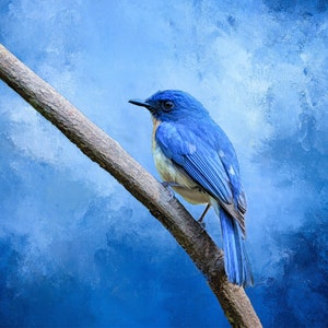 Mountain Bluebird Fabric Panel, Quilt Panel, Quality Quilting Cotton Fabric, Bird Fabric Panel to Quilt or Sew, Size 16”Wx11”L, BRB-009