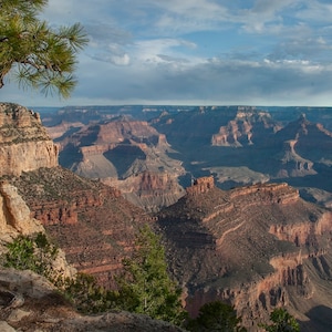 Grand Canyon South Rim View Fabric Panel, Quilt Panel, Quilting Cotton Fabric, National Parks Fabric Panel, Size 24&quot;Wx16&quot;L, NPGC-002