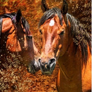 Fun Size Horses Fabric Panel - FUN-004, Panel Size is 11.75” X 9”, Quality Quilting Cotton