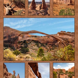 Arches National Park Composite Fabric Panel, Quilt Panel, Quilting Cotton Fabric, Utah Fabric Panel to Quilt, Size 15.375”Wx41.75”L NPA-001