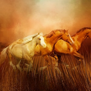 Three Running Horses Fabric Panel - AHS-036, Size 20&quot; x 13.5&quot;, Quality Quilting Cotton