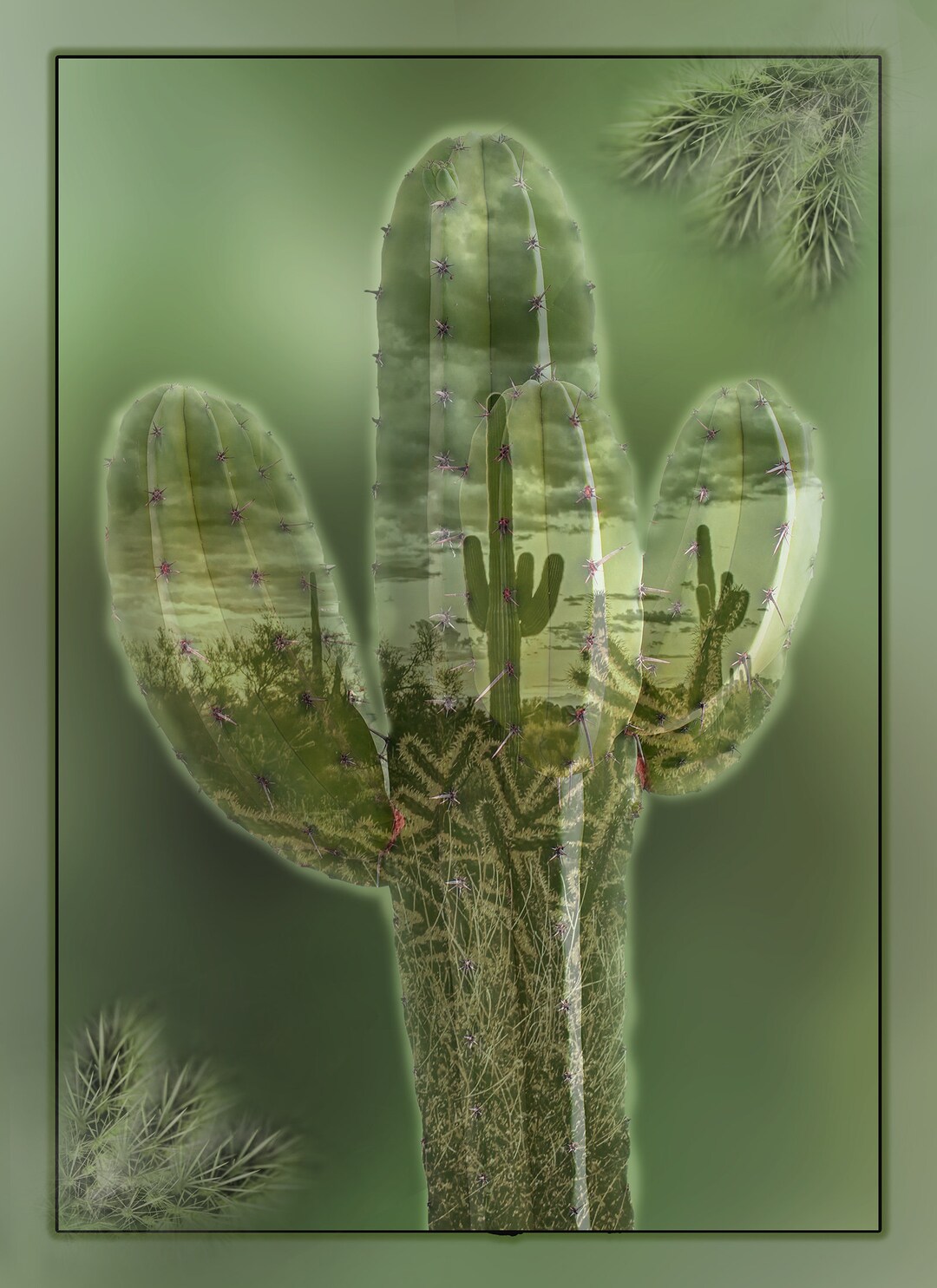 Cactus Within a Cactus Quilt Panel, Panel Size is 16” X 22”- DCS-003 ...