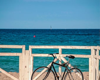 Last Chance - Beach Biking Fabric Panel - OCE-054 - Panel Size is 16” X 20”, Quality Quilting Cotton