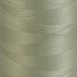 May include: A spool of light green thread.