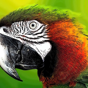 Red/Green Parrot Closeup Fabric Panel - BPT-003, Panel Size is 24” X 16”, Quality Quilting Cotton