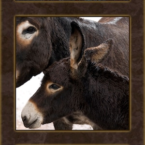 Three Vertical Donkeys Fabric Panel - AFF-002, Panel Size is 8.75” X 23.25”, Quality Quilting Cotton