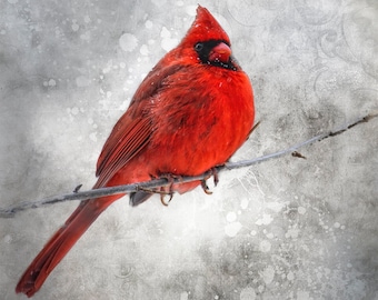 Red Cardinal in Snow Fabric Panel, Quilt Panel, Quality Quilting Cotton Fabric, Bird Fabric to Quilt or Sew, Multiple Sizes