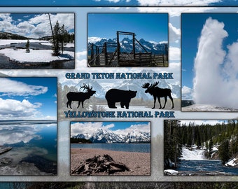 Grand Teton and Yellowstone National Parks in Spring Fabric Panel, Quilt Panel, Quilting Cotton Fabric, Size 26.5"Wx17.6"L, NPGT-011
