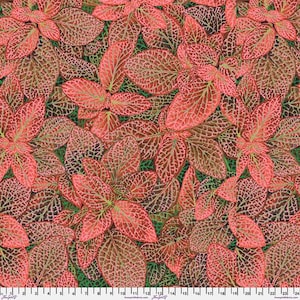 Kaffe Fassett Fabric, Quilting Cotton, Fittonia - Red || August 2024, Half Yard or by the Yard, Cotton Fabric, FreeSpirit