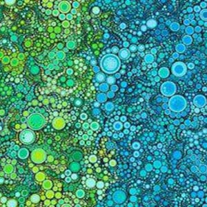 AAQ-17061-195 BRIGHT da Amelia Caruso, Robert Kaufman Fabrics - Tecido premium 100% algodão