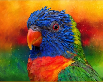 Pannello in tessuto Lovable Lorakeet - BPT-011, la dimensione del pannello è 19,75" X 15", cotone trapuntato di qualità