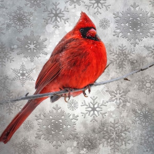 Red Cardinal in Snow with Snowflakes Fabric Panel, Quilt Panel, Quilting Cotton Fabric, Bird Fabric to Quilt or Sew, Size 18”Wx17”L, BRB-004