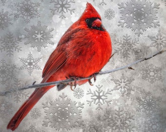 Red Cardinal in Snow with Snowflakes Fabric Panel, Quilt Panel, Quilting Cotton Fabric, Bird Fabric to Quilt or Sew, Size 18”Wx17”L, BRB-004