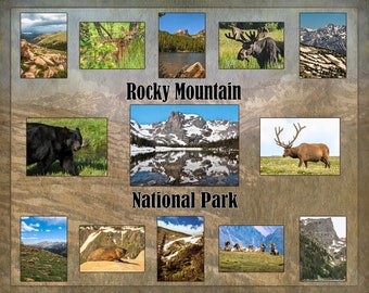 Pode incluir: Uma colagem de imagens que mostram a beleza do Parque Nacional das Montanhas Rochosas. A colagem apresenta uma variedade de paisagens, incluindo montanhas, lagos e florestas. Também inclui imagens de vida selvagem, como alces, alces, veados e ursos.