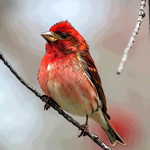 A Flash of Color Fabric Panel, Quilt Panel, Quality Quilting Cotton Fabric, Bird Fabric to Quilt or Sew, Size 16”Wx20”L, BRB-003