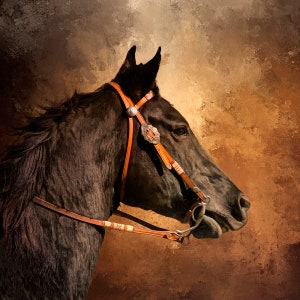 Black Horse van dichtbij stoffen paneel, quiltpaneel, quiltstofpaneel, kwaliteit quiltkatoen, paardenstof, maat 20&quot; x 20&quot; l, AHS-020