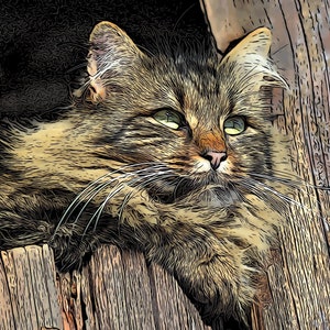 Pode incluir: Imagem digitalmente aprimorada de um gato com olhos verdes e longos bigodes. O gato tem pelo marrom e castanho e está descansando em uma superfície de madeira. A imagem tem uma aparência estilizada, quase pintada.