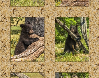 Pannello in tessuto con sei cuccioli di orso nero - ANW-049, dimensioni del pannello 19" x 34", cotone per trapuntatura di qualità