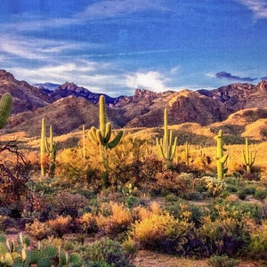 Saguaro-Nationalpark Quilt-Panel, Panel-Größe ist 24 &#39;x 16&#39; DCS-002, Southwest Quilting Fabric