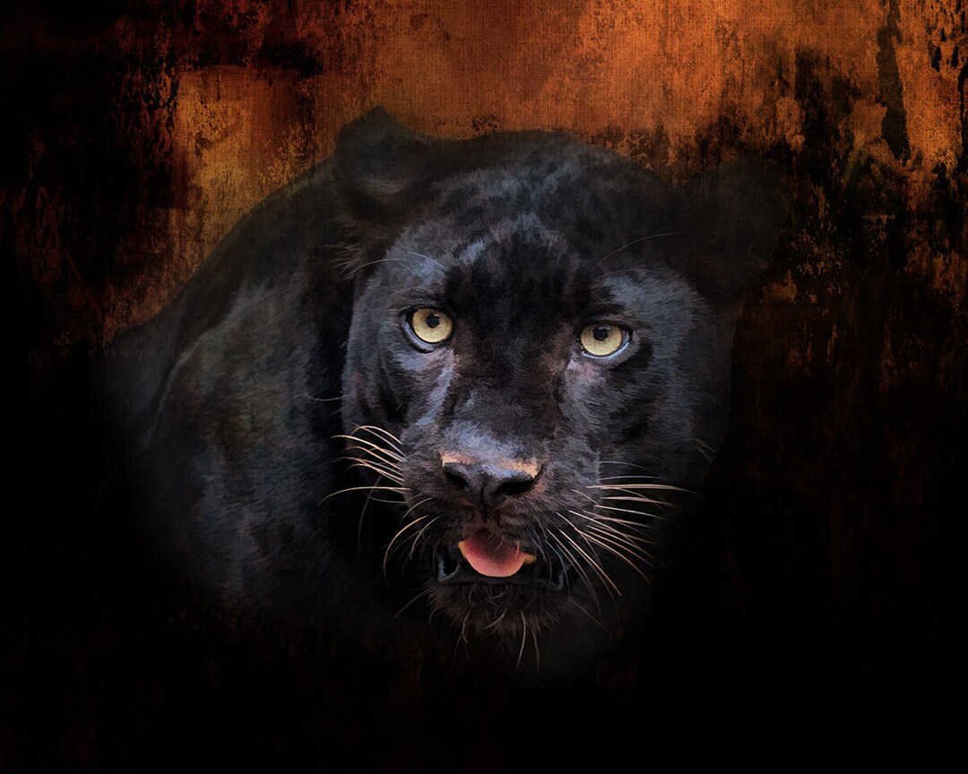 Black Panther Quilt Panel - AWC-003 - Panel Size is 20” X 14