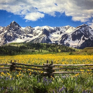 Zomer in de Rockies-stofpaneel, quiltpaneel, quiltkatoen, stof National Park om te quilten of te naaien, maat 35 x 22 x l, SCO-010