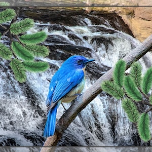 Bluebird Over Waterfall Fabric Panel, Quilt Panel, Quality Quilting Cotton Fabric, Bird Fabric Panel to Quilt or Sew Size 24”Wx16”L, BRB-008