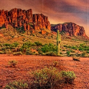 Pode incluir: Uma vista panorâmica de uma paisagem desértica com formações rochosas vermelhas ao fundo e cactos altos em primeiro plano. O céu é de um laranja e rosa vibrantes, criando um lindo pôr do sol.