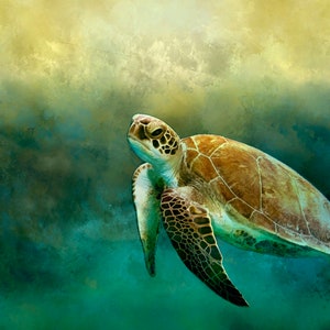 Sea Turtle Fabric Panel - OCE-016, Panel Size is 17.5” X 11.5”, Quality Quilting Cotton