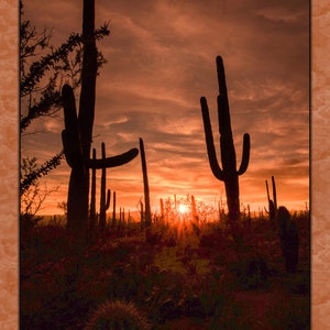 Two Saguaro Sunset Fabric Panel - DCS-014 - Panel Size is 16” X 22”, Quality Quilting Cotton