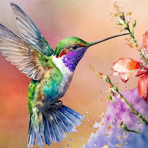 Pode incluir: Um beija-flor vibrante com penas verdes, azuis e roxas paira perto de uma flor rosa e laranja com um bico longo e fino estendido em direção à flor. O fundo é uma aquarela de cor laranja, rosa e roxo.