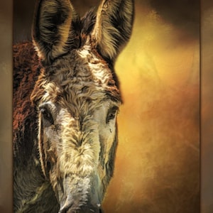 Lonely Donkey Fabric Panel - AFF-003, Panel Size is 16” X 23.75”, Quality Quilting Cotton