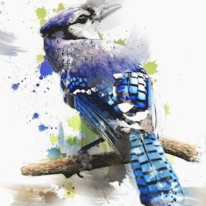Abstract BlueJay Fabric Panel, Quilt Panel, Quality Quilting Cotton Fabric, Bird Fabric Panel to Quilt or Sew, Size 18&quot;Wx20&quot;L, BRB-014