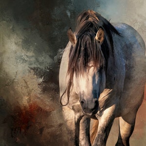 Stallion with Abstract Background Fabric Panel, Quilt Panel,  Quality Quilting Cotton Fabric, Horse Fabric, Size 22.25”Wx18”L, AHS-010, QuiltCentralStudio, Sewing Fabric