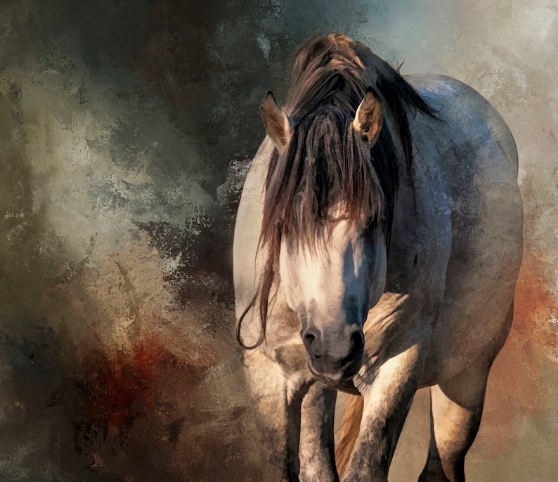 Stallion with Abstract Background Fabric Panel, Quilt Panel,  Quality Quilting Cotton Fabric, Horse Fabric, Size 22.25”Wx18”L, AHS-010, QuiltCentralStudio, Sewing Fabric