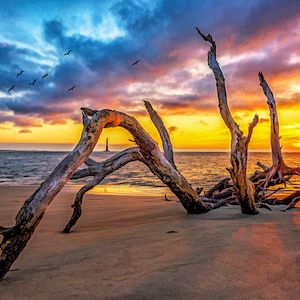 Painel de tecido Atlantic Coast at Sunrise, PSS-002, tamanho do painel: 24” x 16”, algodão de alta qualidade para patchwork.