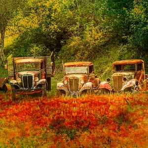 Panel de edredón &quot;Campo de Camiones&quot;, TVT-008, tamaño del panel: 24&quot; x 14&quot;, tela de acolchado de calidad