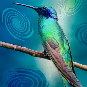 Puede incluir: Un colibrí verde vibrante con cabeza azul y plumas iridiscentes se posa en una rama sobre un fondo azul en espiral.