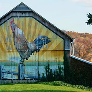 Pode incluir: Um celeiro amarelo com um grande mural de um galo pintado no lado. O galo é marrom e branco com uma crista e barbelas vermelhas. O celeiro é cercado por grama verde e árvores.