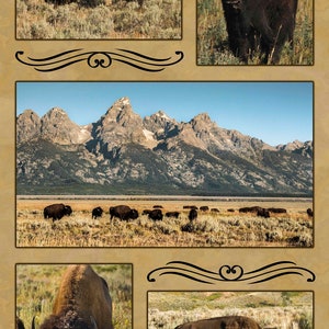 Buffalo Composite Fabric Panel, Quilt Panel, Quilting Cotton Fabric, American Buffalo Bison Fabric Panel, Size 16.125&quot;Wx28.625&quot;L, ANW-024
