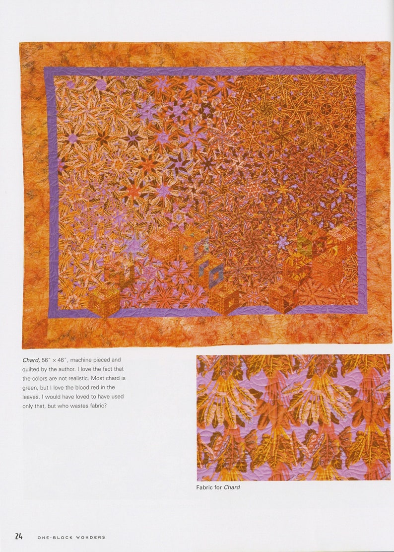 Chards Quilt Pattern One-block Wonders Book, One Fabric, One Shape, One-of-a-kind Quilts ...