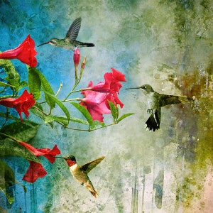 May include: Three hummingbirds in flight with red flowers in the background. The hummingbirds are green, black, and red. The flowers are pink and red.