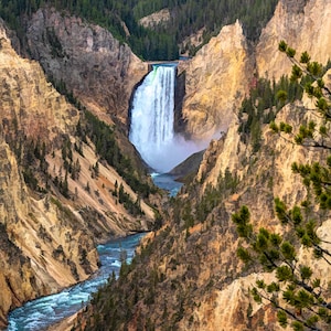Grand Canyon of the Yellowstone River Fabric Panel, Quilt Panel, Quilting Cotton Fabric, Yellowstone Fabric, Size 23.625”Wx35.5”L, NPYS-007