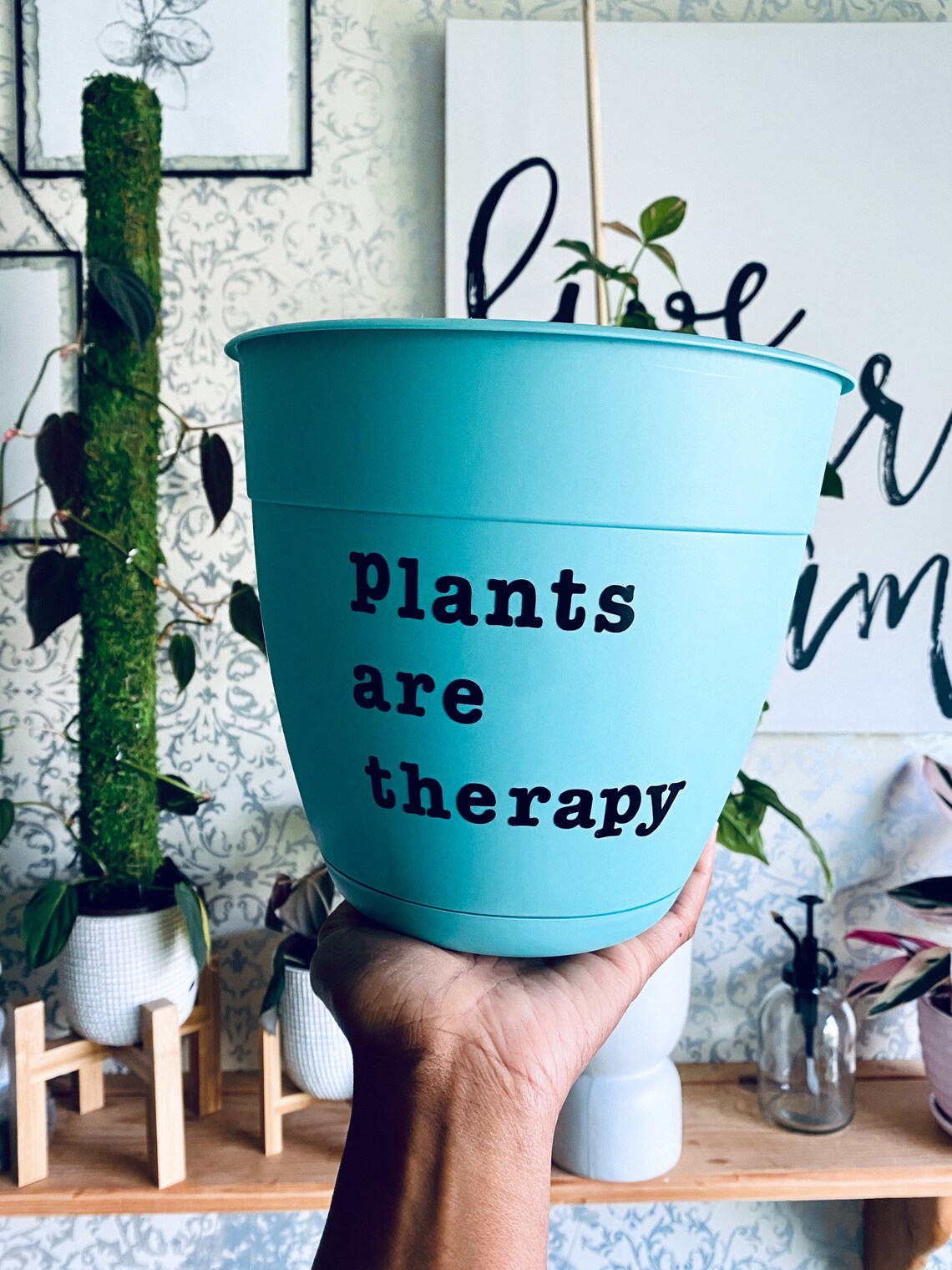 Self Draining Planter houseplant gifts unique gifts self Etsy