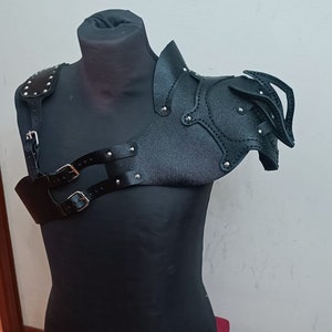 Shoulder Harness